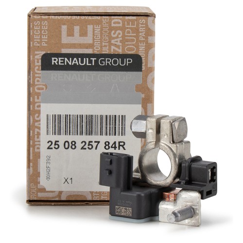 Original renault - original,